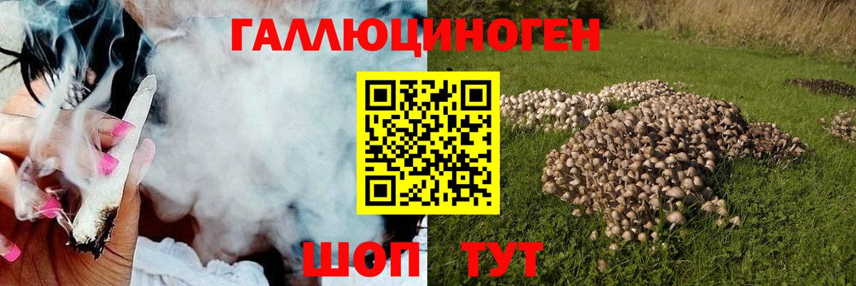 Псилоцибиновые грибы Psilocybine cubensis  Галлюциногенные грибы Psilocybe  Асино  Вход с VPN 