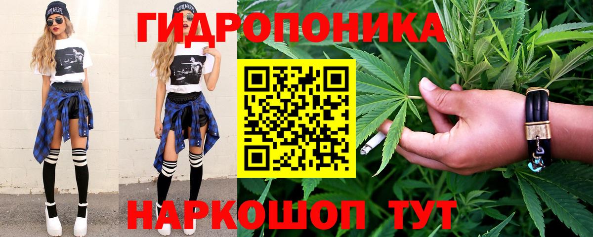 Каннабис Bruce Banner Асино